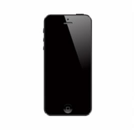 apple iphone 5 S nero